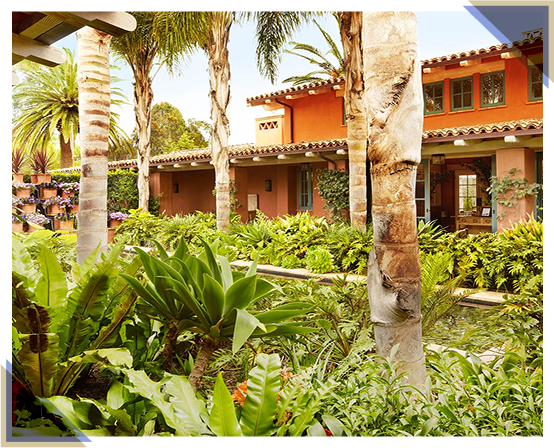 T10-welcome T10-welcome